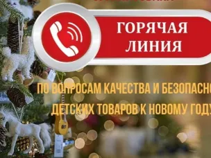 Роспотребнадзор запускает «горячую линию» по вопросам качества и безопасности детских товаров и выбору новогодних подарков