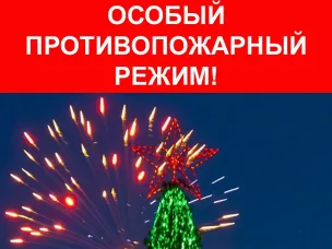 В канун новогодних праздников в Нижегородской области вводится особый противопожарный режим